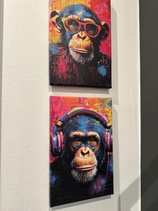 Moderne 50 Qm Unterkunft Monkey روستوك المظهر الخارجي الصورة